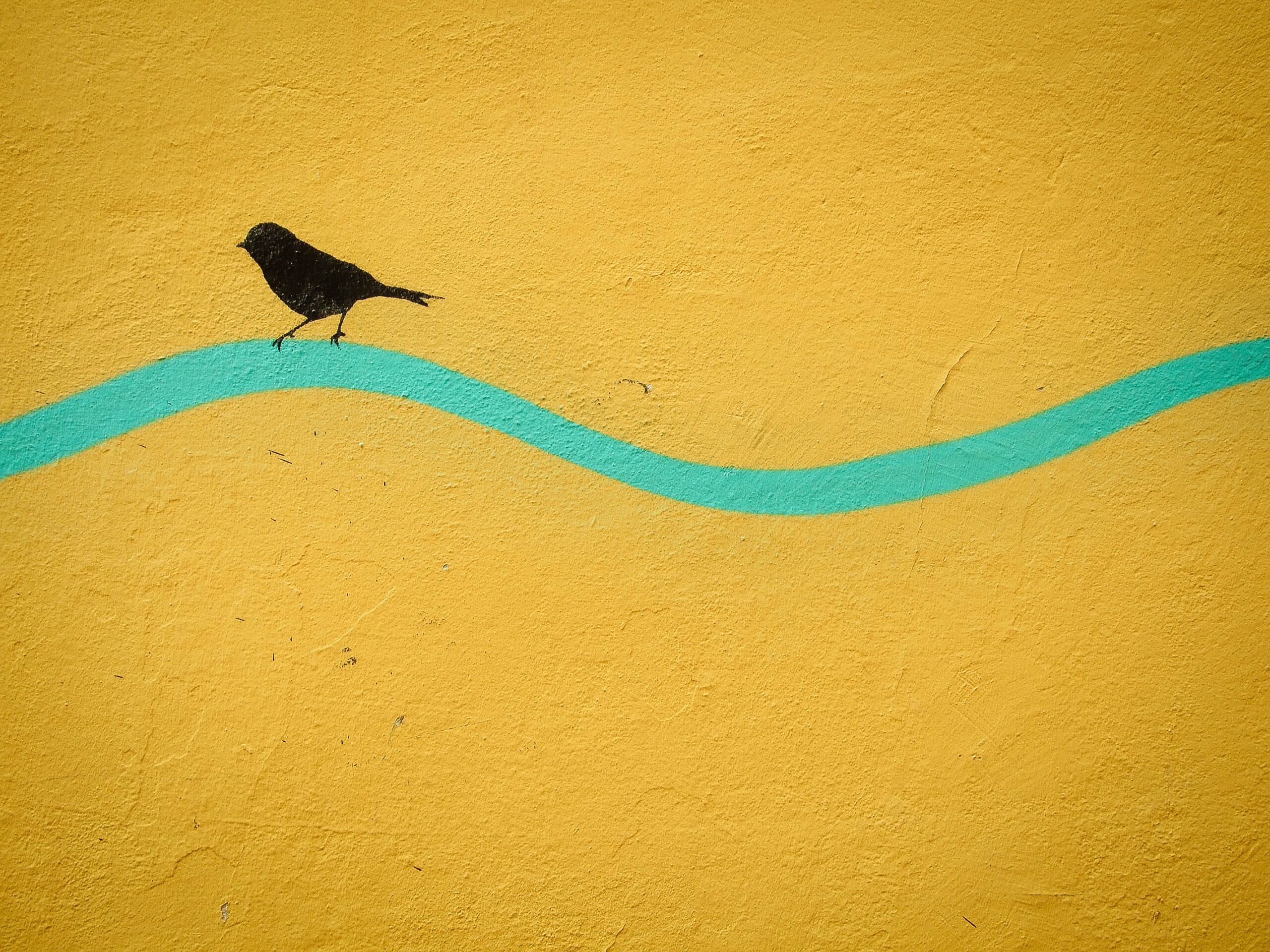 crawford-jolly--gFxMygtgsg-unsplash